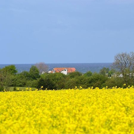 Steiner Strandappartements Appartement 308 Sued- Landseite Stein  Exteriér fotografie