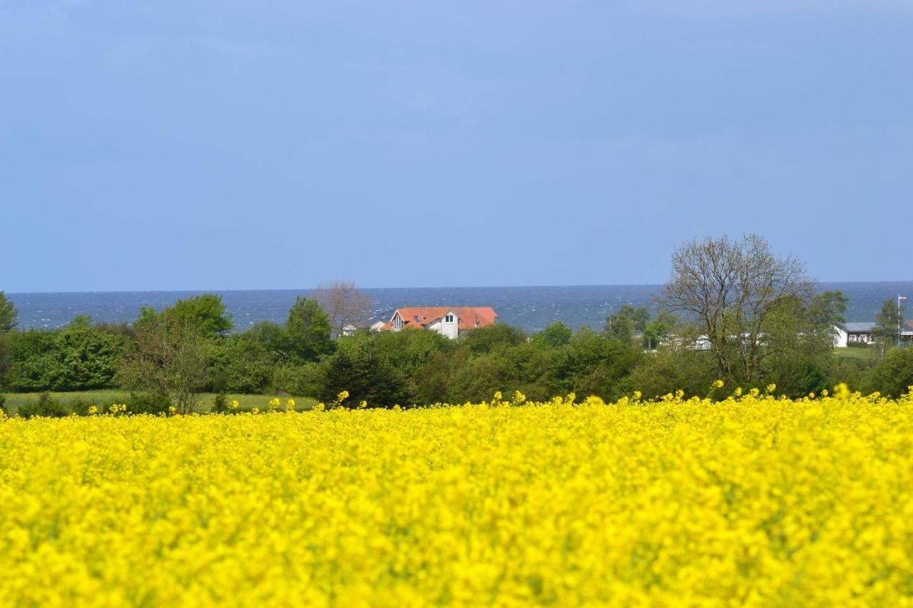 Steiner Strandappartements Appartement 308 Sued- Landseite Stein  Exteriér fotografie